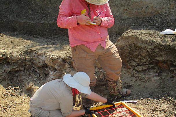 <a href='http://www.myalgarvewedding.com'>博彩网址大全</a>学生在麦卡尔哈尼采石场测绘三角龙骨骼.